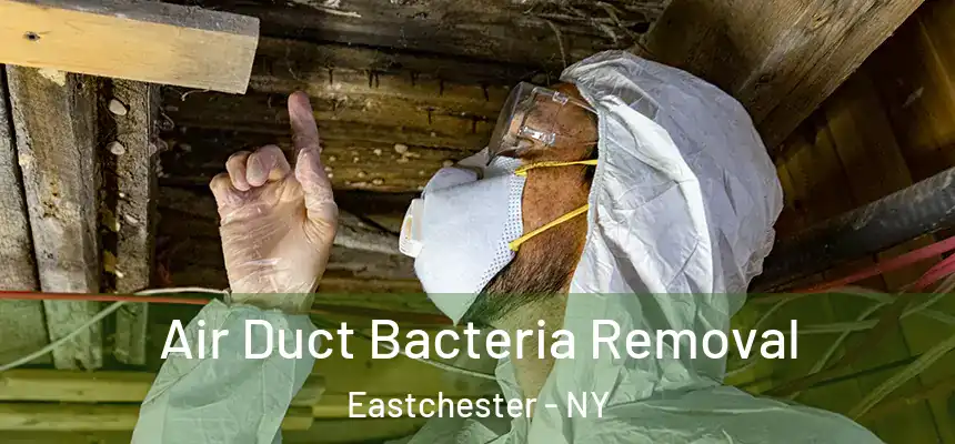  Air Duct Bacteria Removal Eastchester - NY