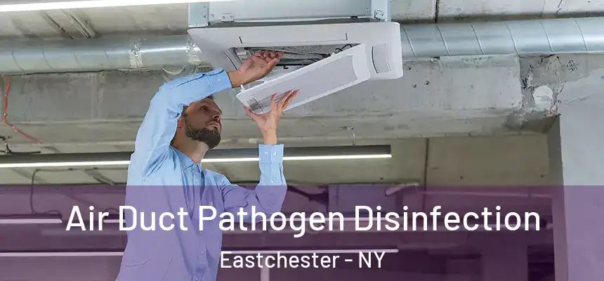  Air Duct Pathogen Disinfection Eastchester - NY