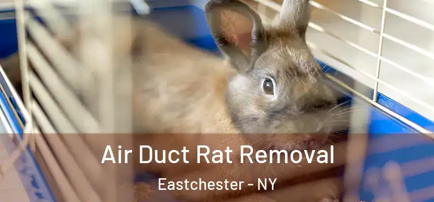 Air Duct Rat Removal Eastchester - NY