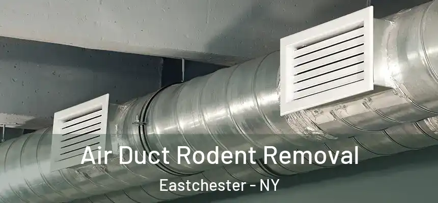 Air Duct Rodent Removal Eastchester - NY