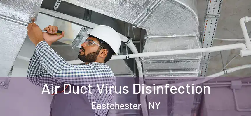 Air Duct Virus Disinfection Eastchester - NY