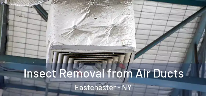  Insect Removal from Air Ducts Eastchester - NY