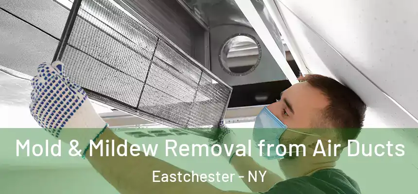 Mold & Mildew Removal from Air Ducts Eastchester - NY