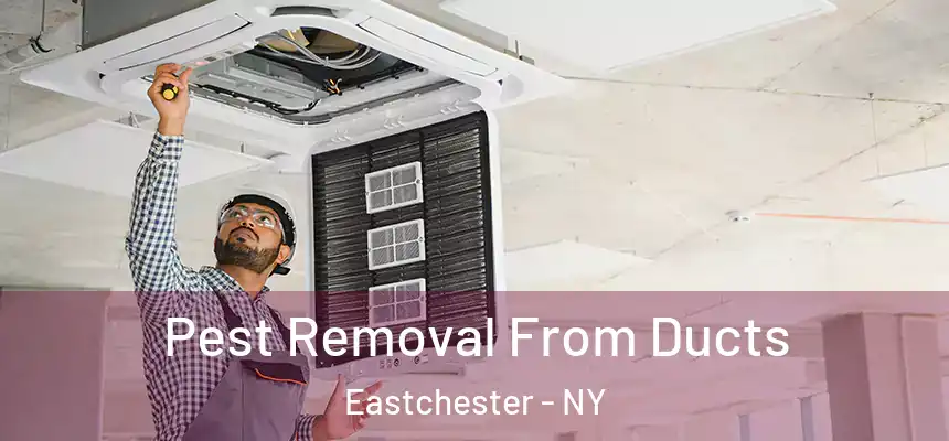 Pest Removal From Ducts Eastchester - NY