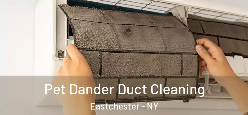 Pet Dander Duct Cleaning Eastchester - NY