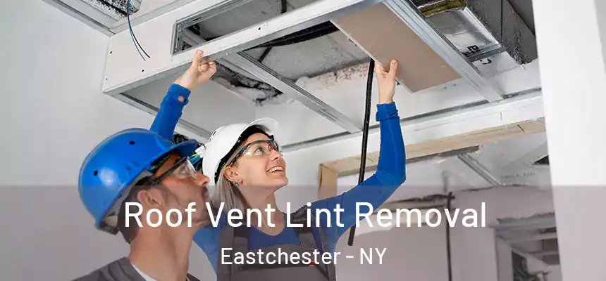  Roof Vent Lint Removal Eastchester - NY