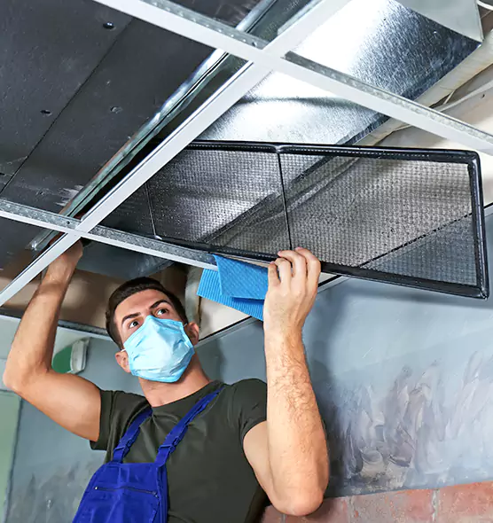 About Air Duct Bacteria Removal in Eastchester