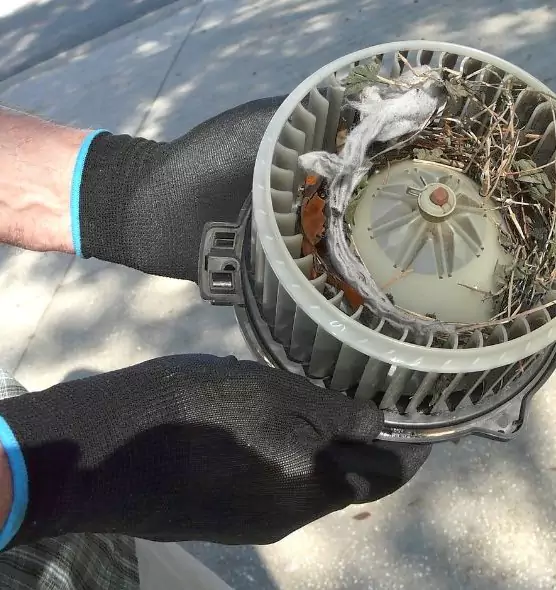 About Air Duct Rat Removal in Eastchester, NY