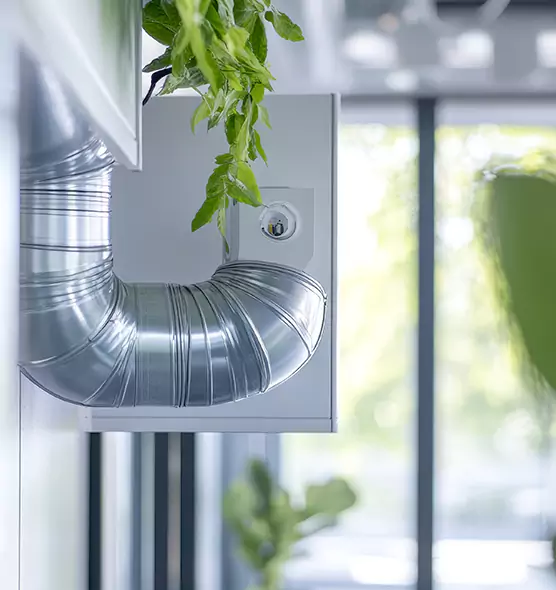 Professional Eco-Safe Dryer Vent Cleaning in Eastchester, NY